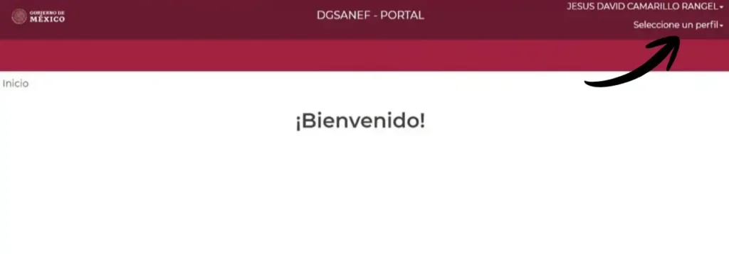 Paso 2: Abre el selector de perfil
