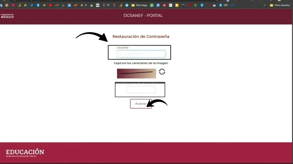Paso 2: Ingresa tu usuario y completa el captcha