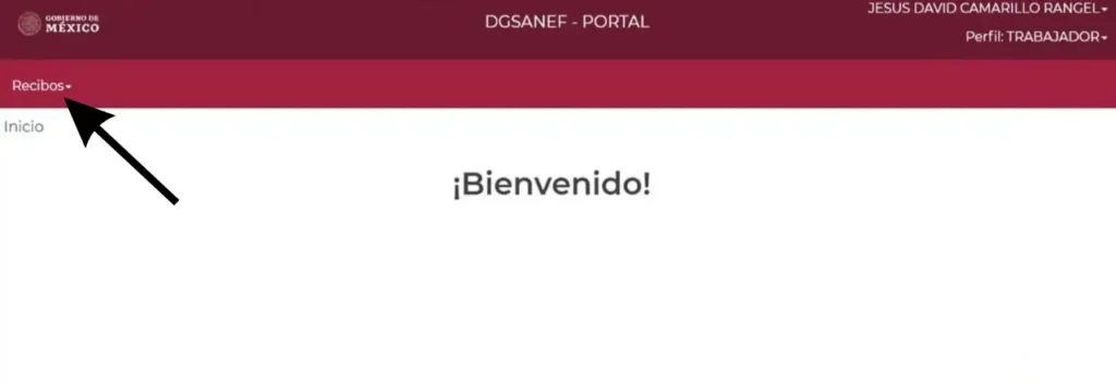 Paso 4: Haz clic en Recibos