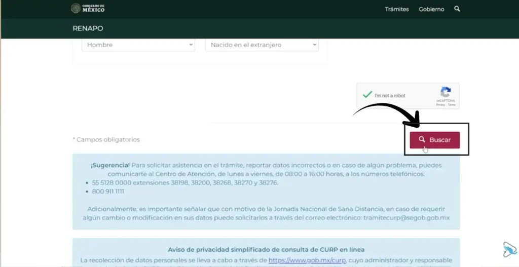Paso 4: Envía la búsqueda