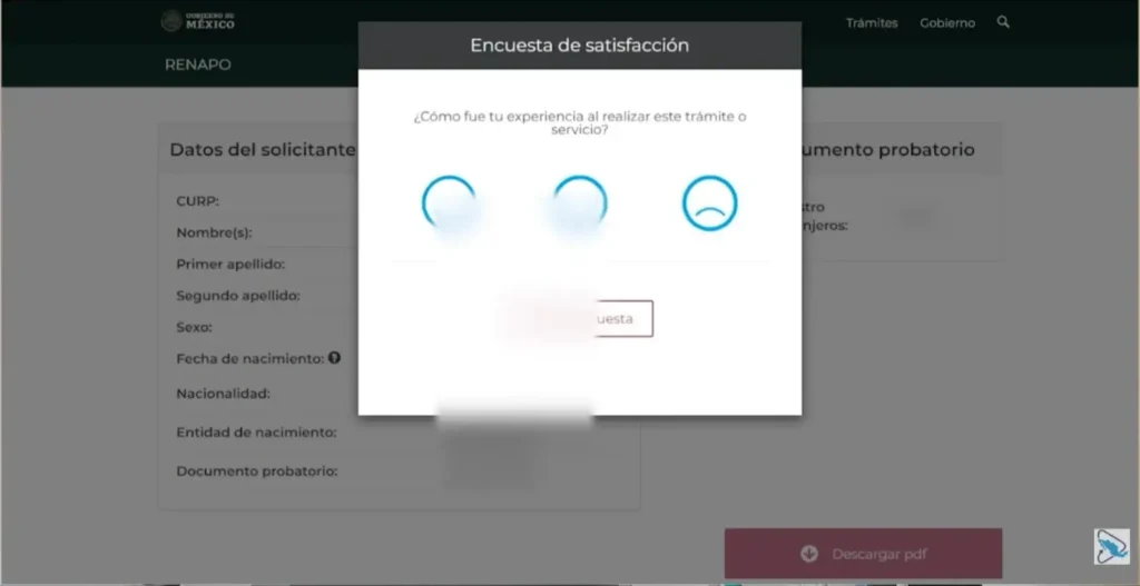 Paso 5: Revisa tu registro CURP