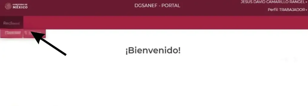 Paso 5: Selecciona Descarga Recibos